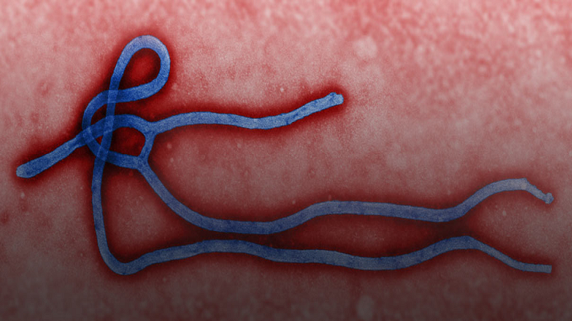 Kenali Ebola