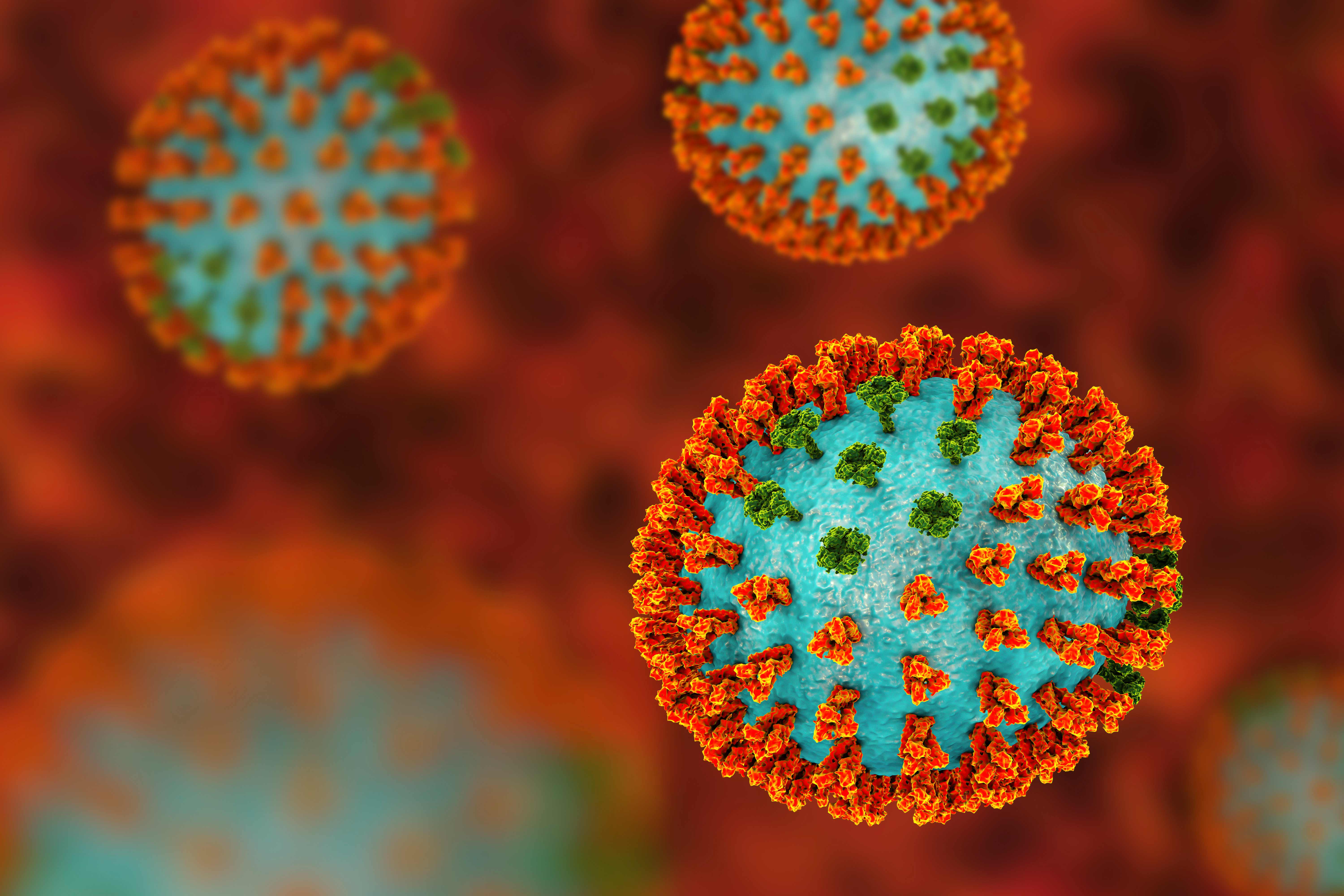Understanding Coronavirus